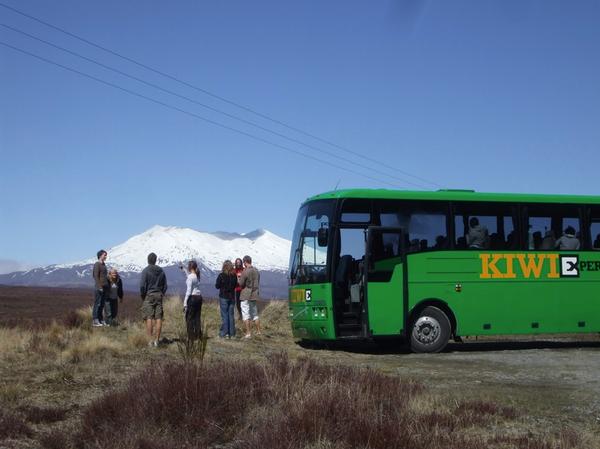 Kiwi Experience bus and a touring group. 